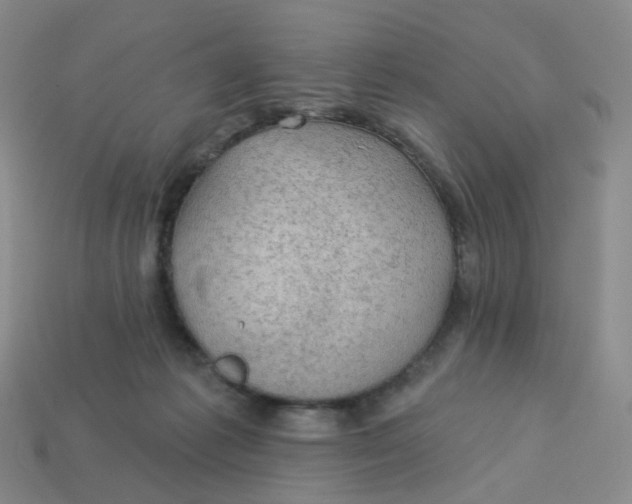 X0000113570221200910161525