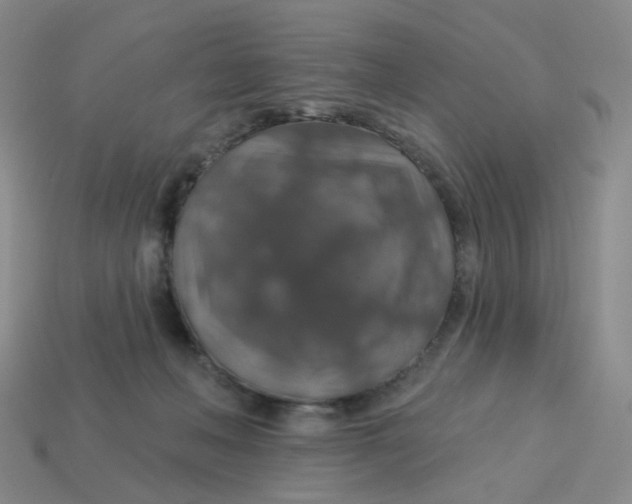 X0000113570222200910161525