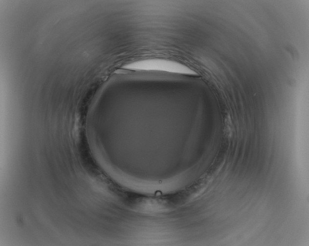 X0000113570223200910161525