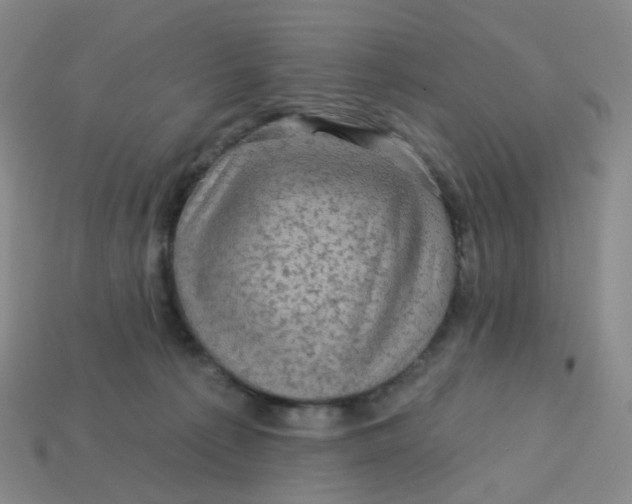 X0000113570225200910161525