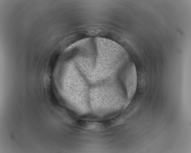 X0000113570226200910161525