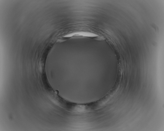 X0000113570227200910161525