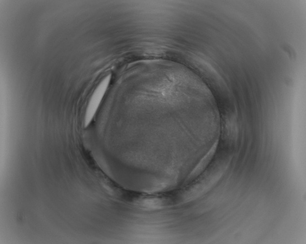 X0000113570228200910161525