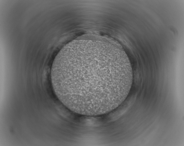 X0000113570229200910161525