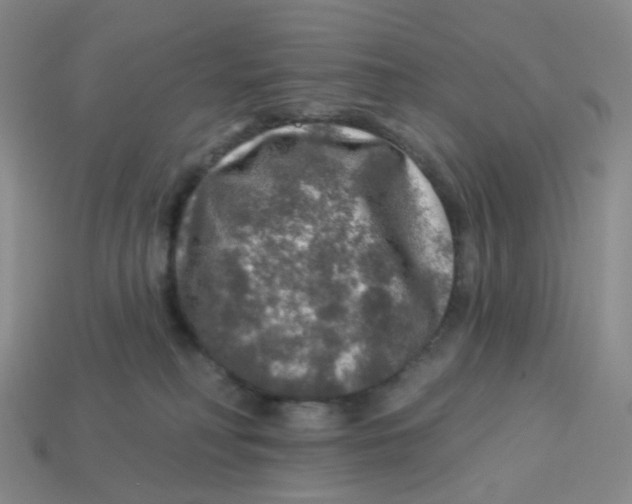 X0000113570230200910161525