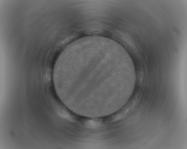 X0000113570232200910161525