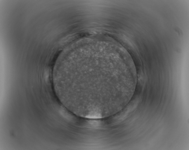 X0000113570233200910161525