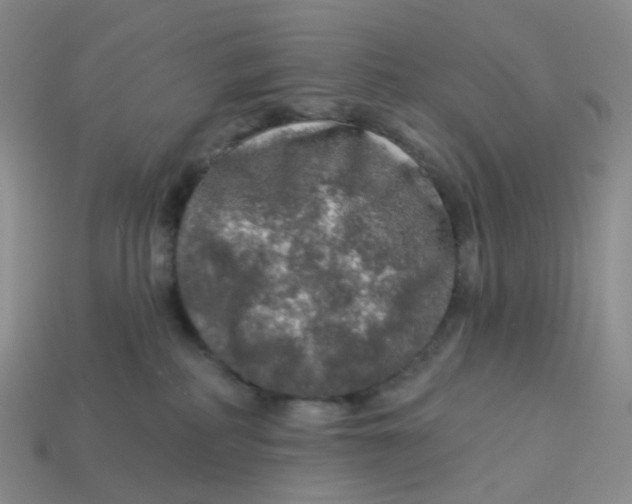 X0000113570234200910161525