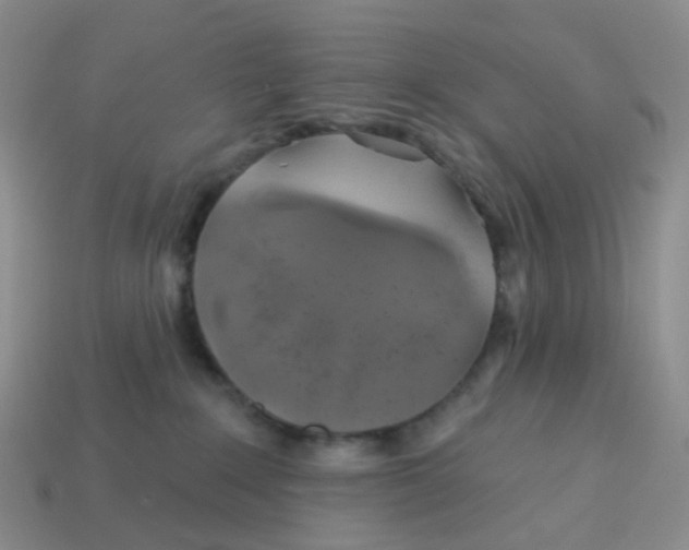 X0000113570235200910161525