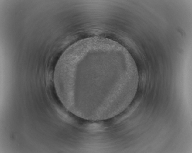 X0000113570236200910161525