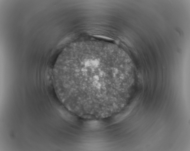 X0000113570237200910161525