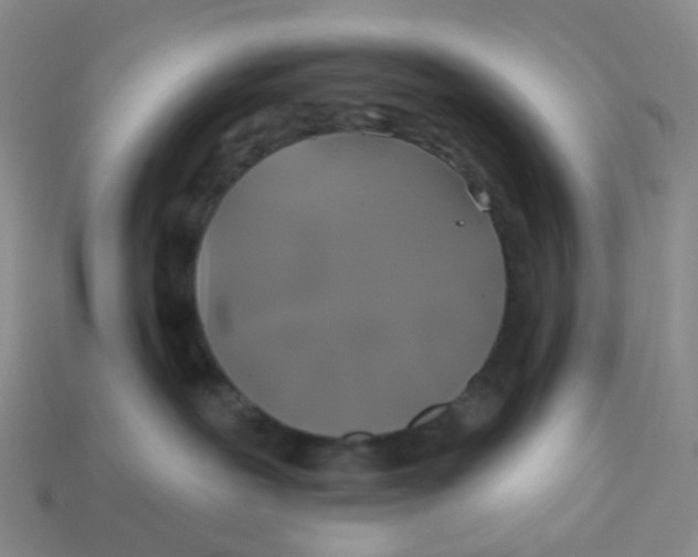 X0000113570239200910161525