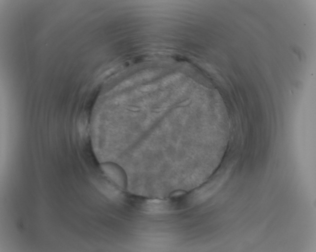 X0000113570240200910161525