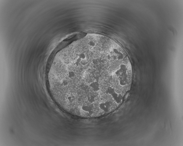 X0000113570241200910161524