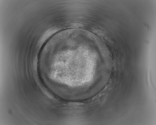 X0000113570242200910161524