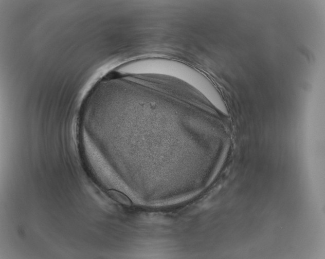 X0000113570244200910161524