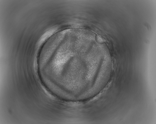 X0000113570245200910161524