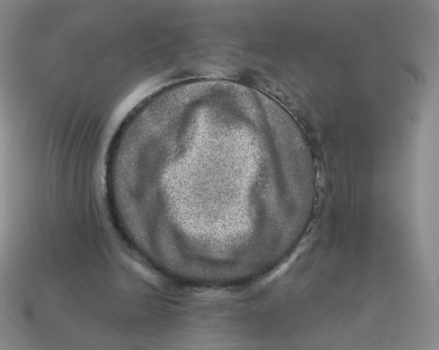 X0000113570246200910161524