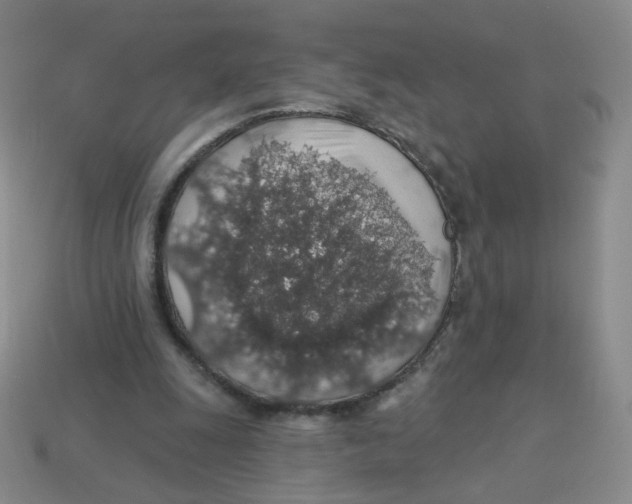 X0000113570247200910161524