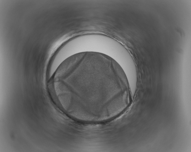 X0000113570248200910161524