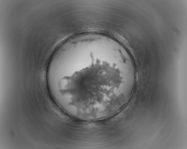 X0000113570249200910161524