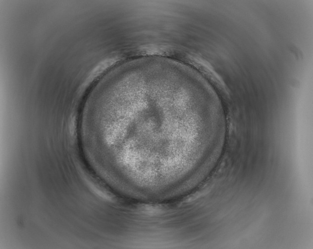 X0000113570250200910161524