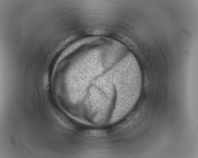 X0000113570251200910161524