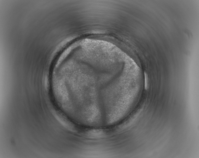 X0000113570252200910161524