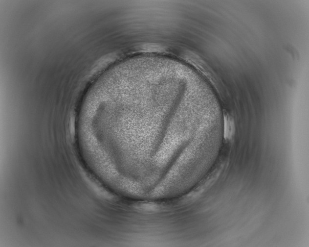 X0000113570253200910161524