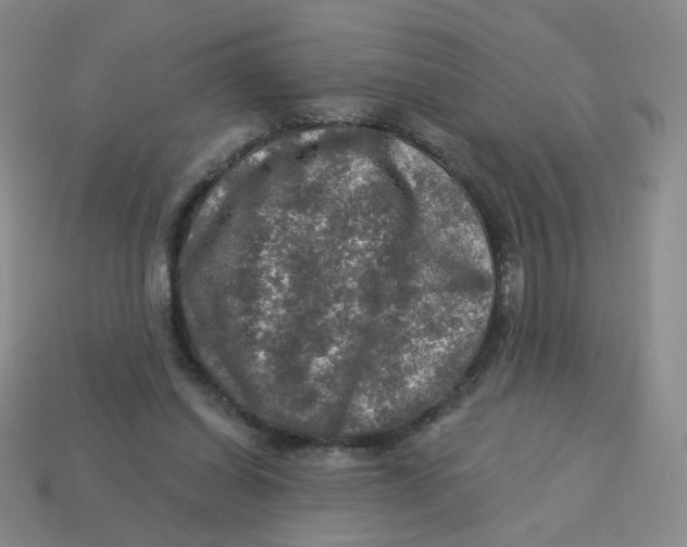 X0000113570254200910161524