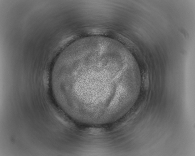 X0000113570255200910161524