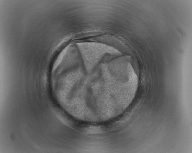 X0000113570256200910161524