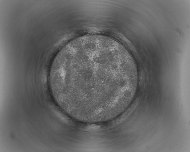 X0000113570257200910161524