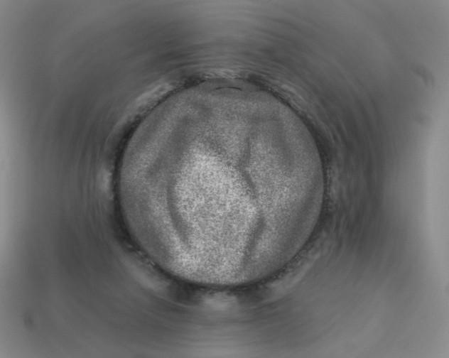 X0000113570258200910161524