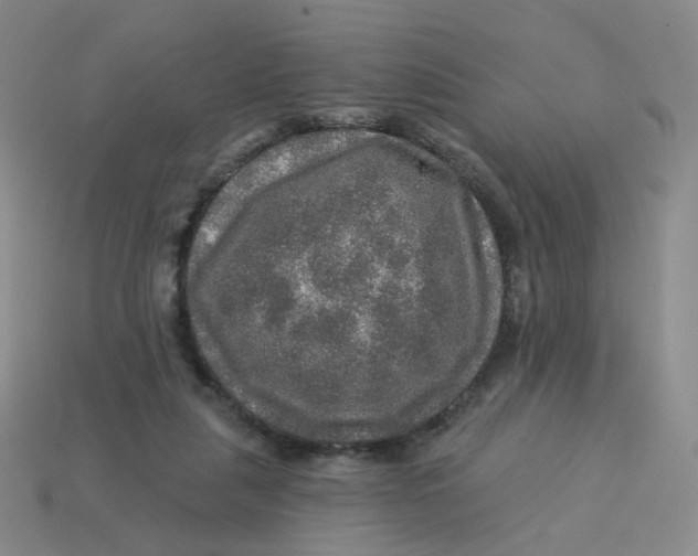 X0000113570259200910161524