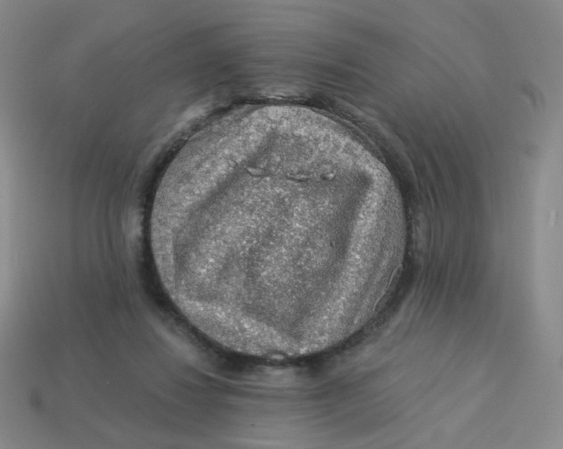 X0000113570260200910161524