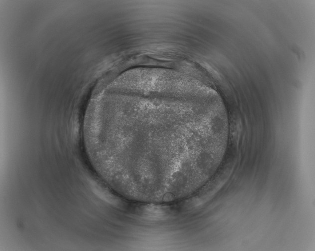 X0000113570261200910161524