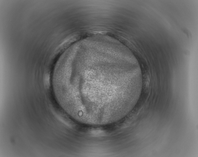 X0000113570262200910161524