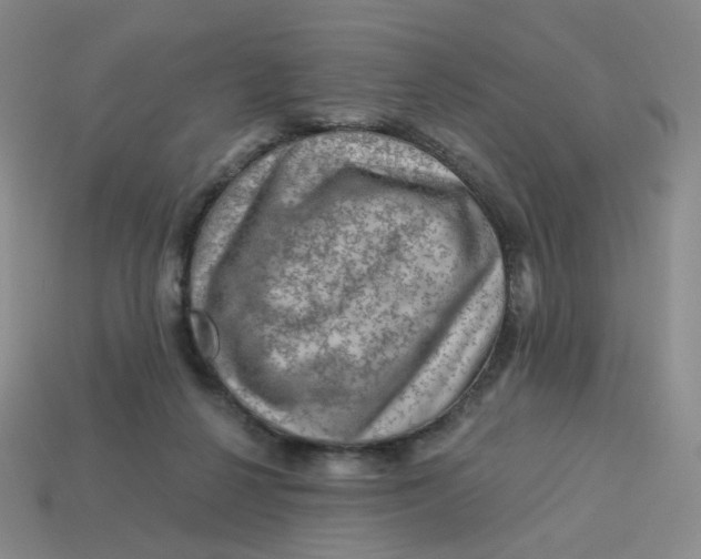 X0000113570264200910161524