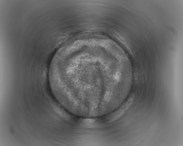 X0000113570265200910161524