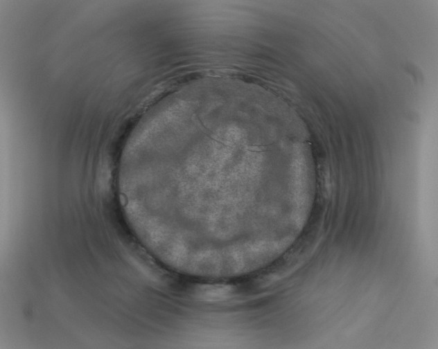 X0000113570266200910161524