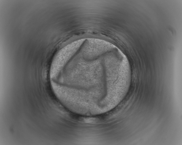 X0000113570268200910161524