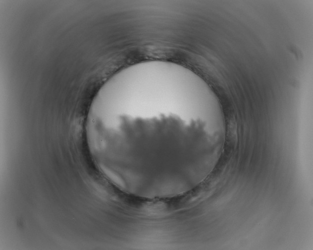 X0000113570271200910161524