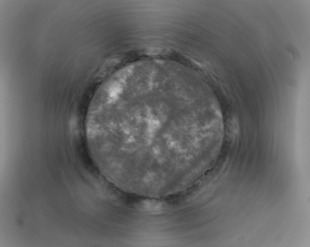 X0000113570272200910161524