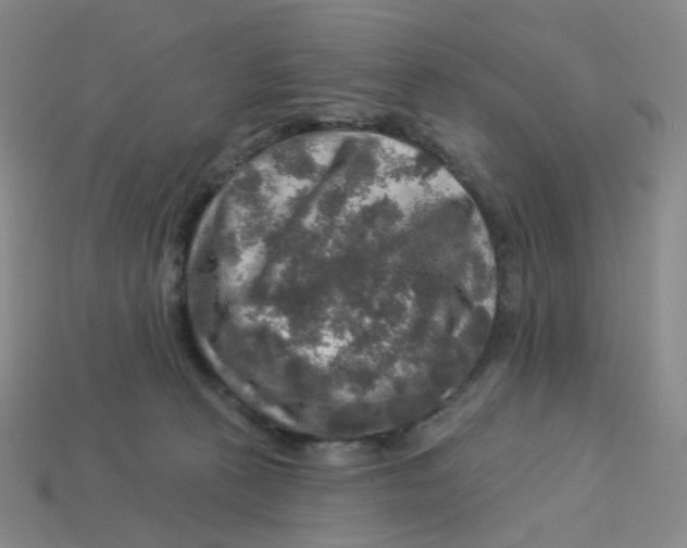 X0000113570273200910161524