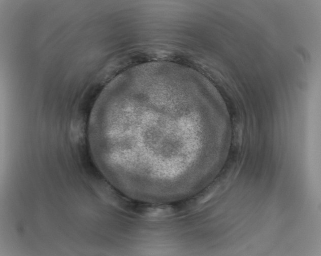 X0000113570274200910161524