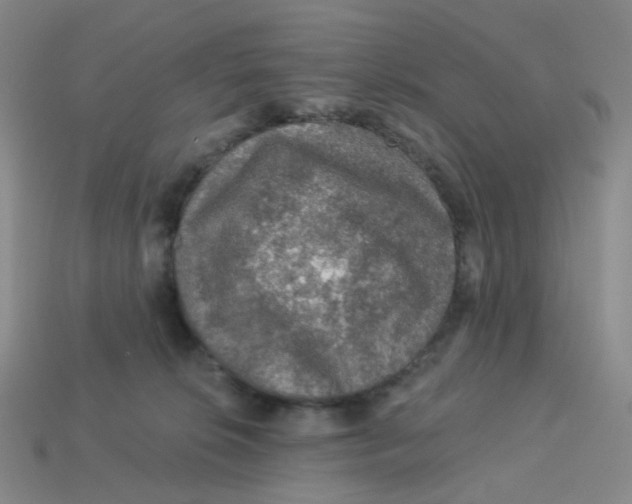 X0000113570276200910161525