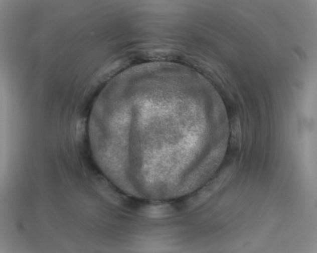 X0000113570278200910161525