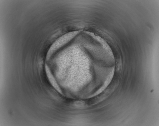 X0000113570279200910161525