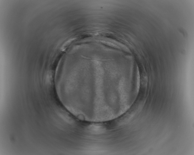 X0000113570280200910161525